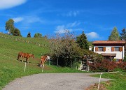 MONTE GIOCO (1366 m) da Spettino Alto in solitaria-13ott26-FOTOGALLERY